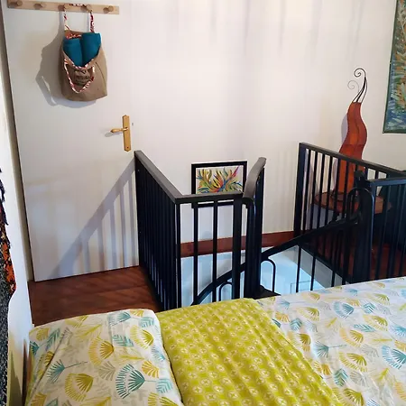 Petit Cosy Appartement
